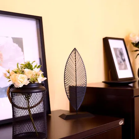 Cozy 2 Drumul Taberei Bukarest