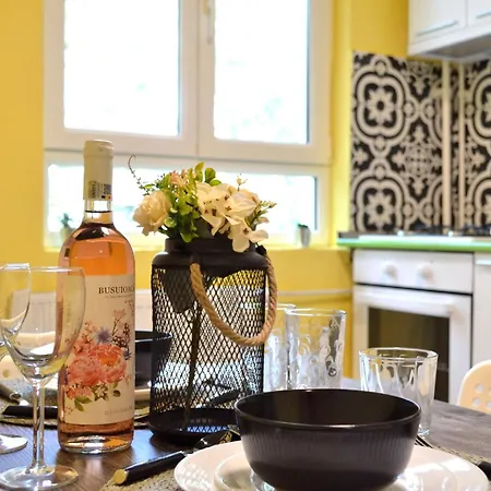 Cozy 2 Drumul Taberei