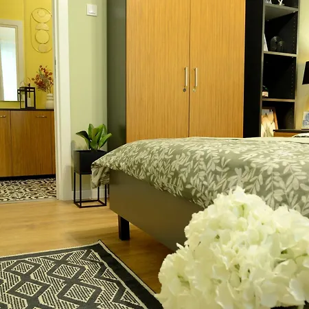 Cozy 2 Drumul Taberei *