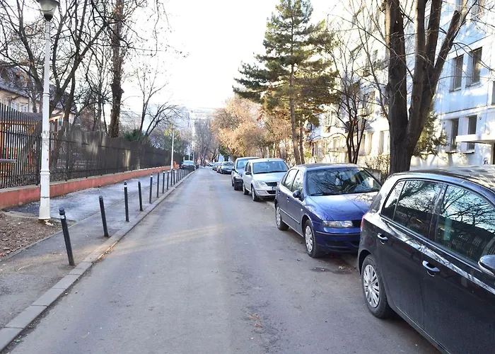 Cozy 2 Drumul Taberei Daire