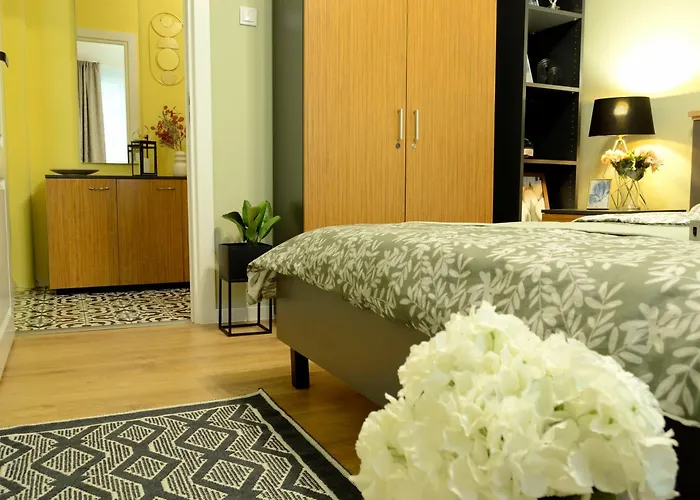 Cozy 2 Drumul Taberei *