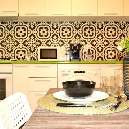 Cozy 2 Drumul Taberei