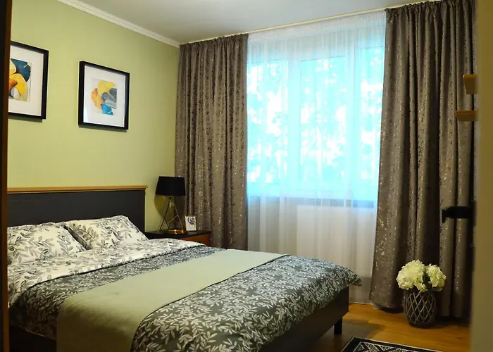 Cozy 2 Drumul Taberei בוקרשט